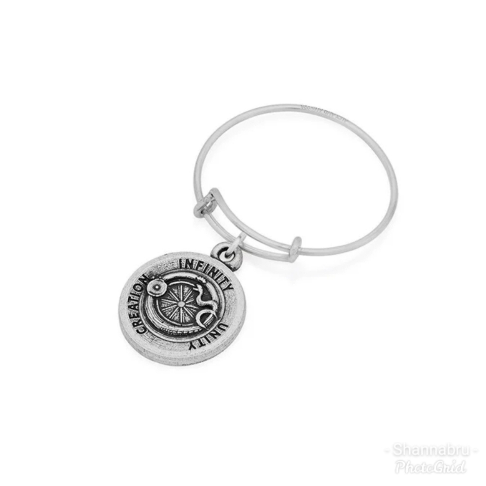Alex and Ani Ring Expandable Wire ~Ouroboros~